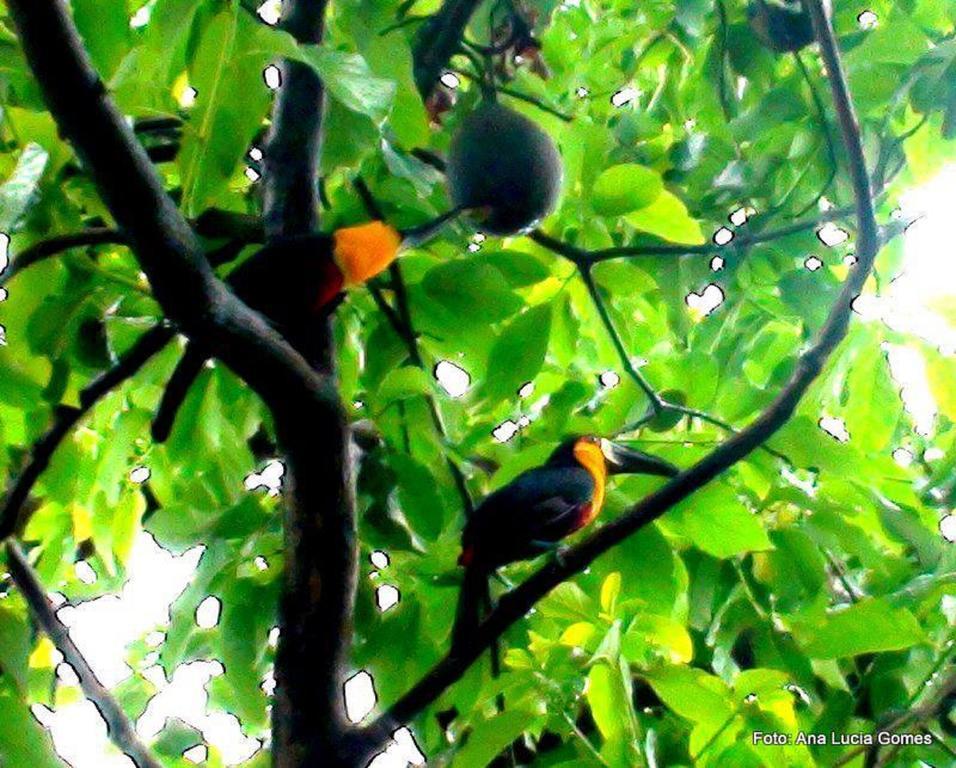 Rio Nature Hostel Rio de Janeiro Eksteriør bilde