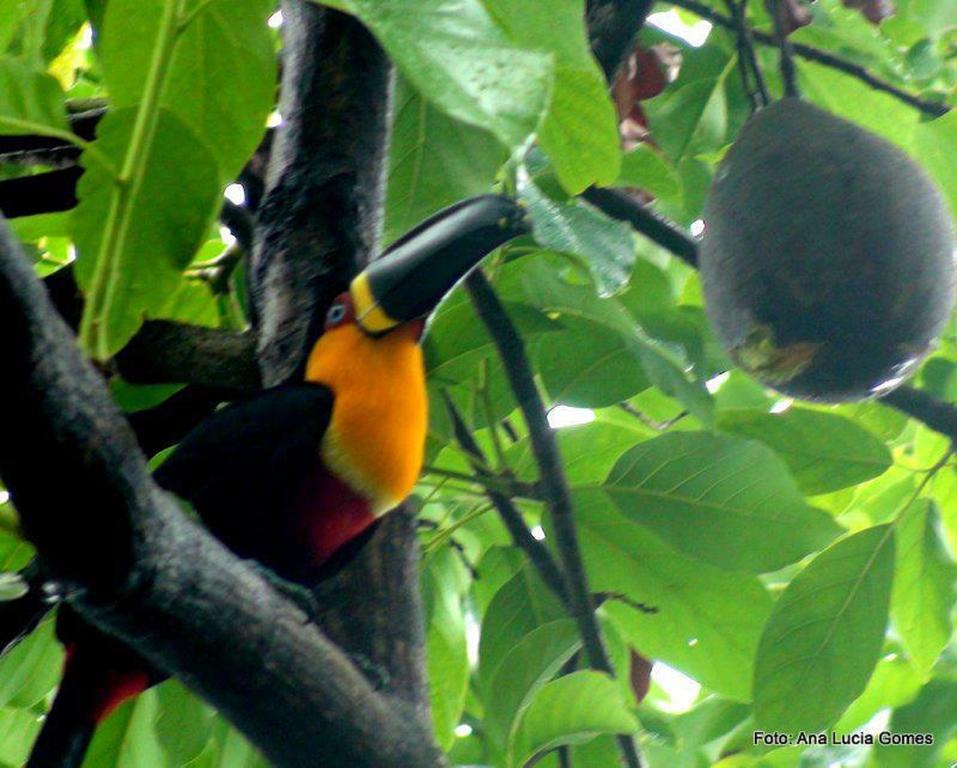 Rio Nature Hostel Rio de Janeiro Eksteriør bilde