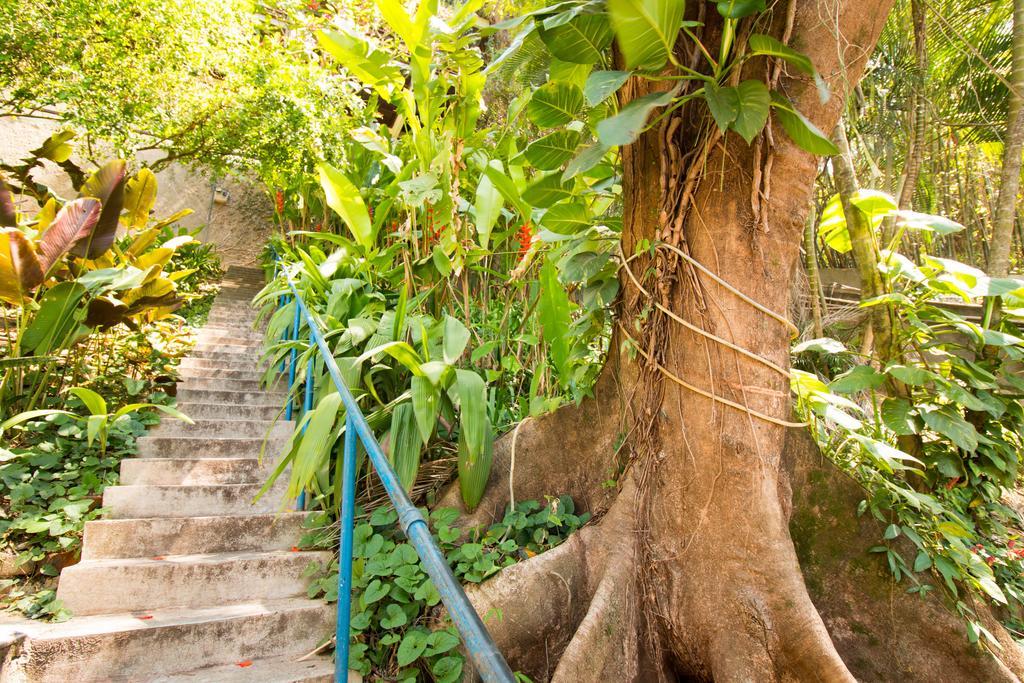 Rio Nature Hostel Rio de Janeiro Eksteriør bilde